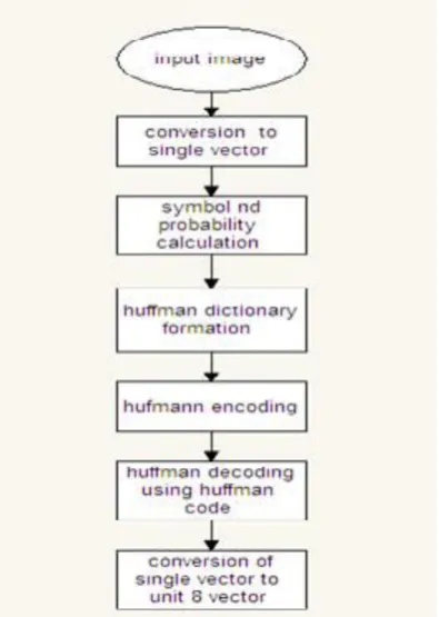 Figure 4: Flowchart showing the Huffman process in detail with encoding and decoding. 