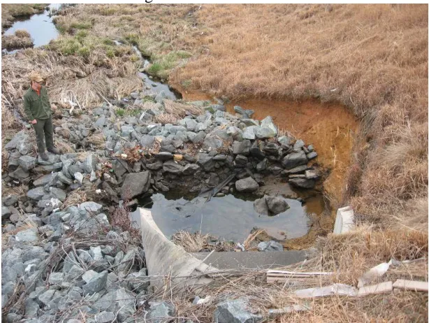 Figure 3. Inlet erosion is a concern in dry detention facilities. 