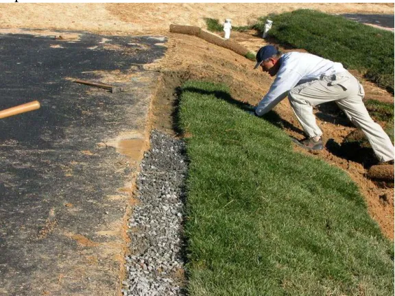 Figure 5 . A gravel and sod verge can help limit the amount maintenance performed on the filter media in the main part of the cell