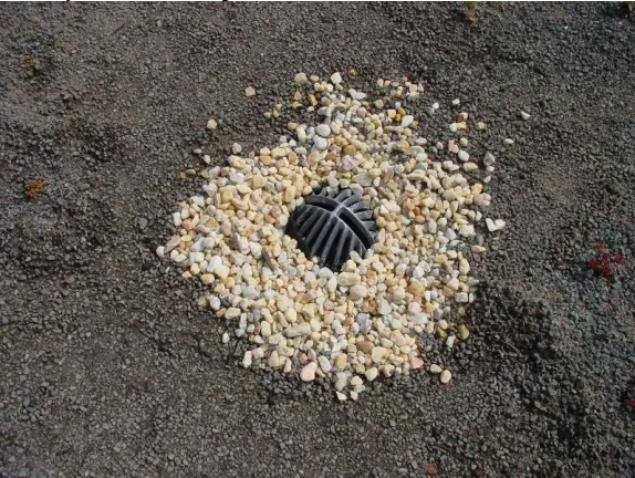 Figure 7 . Gravel surrounding this air vent delineates the “no grow zone” on a green roof