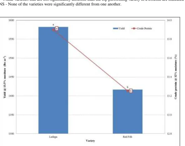 Figure 6. Yield and protein of heirloom spring wheat varieties based on variety, Westfield,   VT, 2014