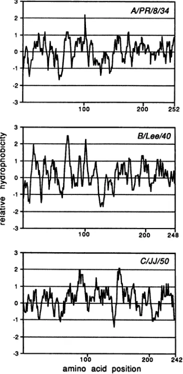 FIG. 8.ofMicroGenie influenza Comparison of hydrophobicity plots of matrix proteins A/PR/8134 (2, 36), B/Lee/40 (4), and C/JJ/50 viruses