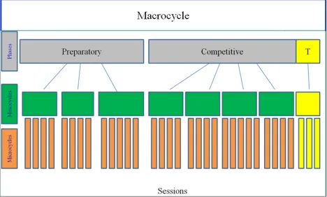 Figure 1. Basic component of training plan. T: transition period. 