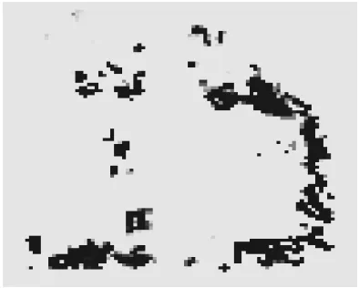 Figure 6. Experimental system setup. (Top)Results for voxels states representation using three stereo pairs taken from three different positions of the stereo cameras
