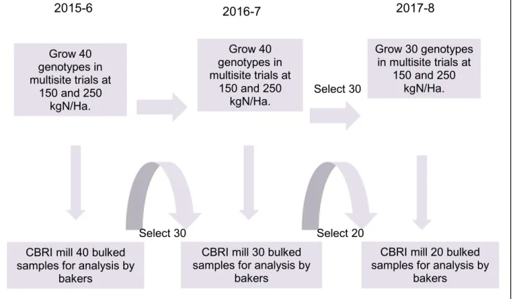 Figure 4.1. Growth and analysis of samples in 2015-6, 2016-7 and 2017-8. 