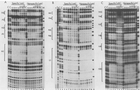 FIG. 5.toMaterials a Competitive binding to NF-BK sites in the regulatory region of BK virus