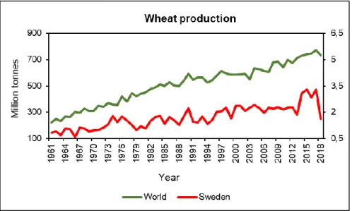 Figure 3: Wheat production in the world and in Sweden. Data source: FAO 2020. 
