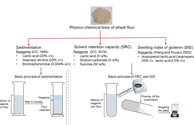Figure 8: General principles and reagents used in three physico-chemical tests of wheat flour