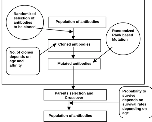 Fig. 1 Structure and features of AAIS_CX  