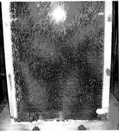 Figure 6: Fluidization behaviour for 600 pm palm shell waste particles