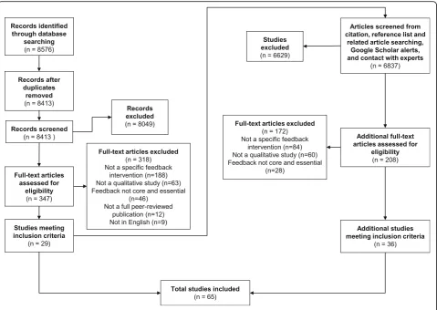Fig. 2 Flowchart of study screening process