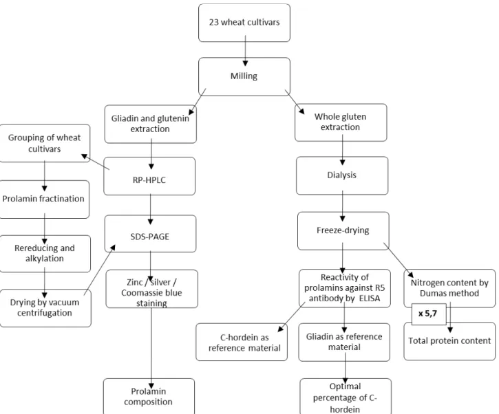 Figure 6. Workflow of the study. 