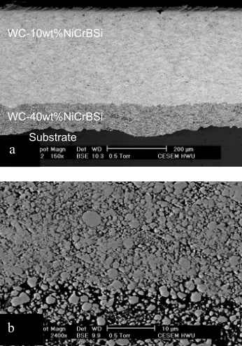 Fig. 2 SEM observations of the as-sprayed coating; a) overall view of as-sprayed coating, b) higher magnification image of the interface of two coating layers