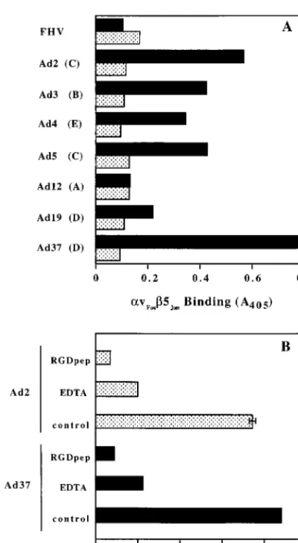 FIG. 7. Effect of antiﬁber or anti-penton base antibodies or soluble integrin �with a polyclonal antiﬁber antibody with the DAV-1 anti-penton base MAb, or with solublev�5 on Ad2 binding and internalization