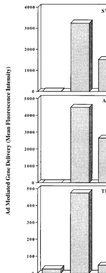 FIG. 8. Effect of soluble integrin �combinant Ad vector encoding GFP (Ad.GFP) was preincubated with mediumalone or with a 20-fold excess (relative to the number of penton base RGD sites)of soluble integrinor THP-1 monocytic cells