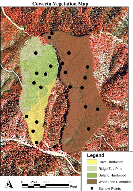 Figure 6. International Classification of Ecological Communities for the Coweeta site in the Mountatain Region