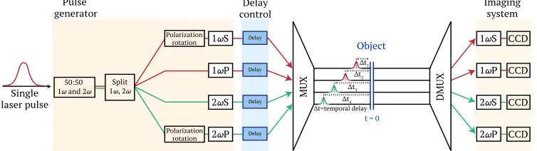 Fig. 1. Process ﬂow diagram of multiplexed optical probe concept. A single ultrashort laserpulse is divided into four separate laser pulses which are uniquely encoded by frequencyand polarization