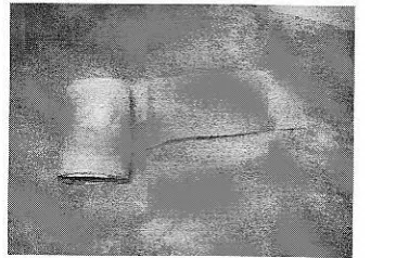 Figure 7(a): Plastic packaging ofLDPE/tapioca starch/glycerol/Anthocyanin/
