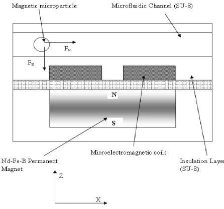 Figure 1: Schematic cross section through the micromagnetoflowcell showing one of the linear array of microcoils