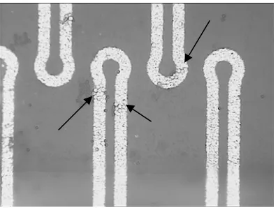 Figure 6: Photomicrograph showing the experimental arrangement.  Microchannels are sealed using PDMS