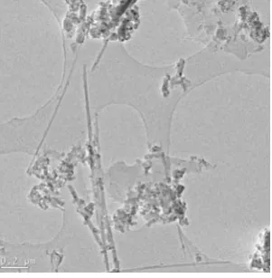 Fig.5(c) shows the cap of the nanotube.  Here it can be seen that there is no catalyst on the tip