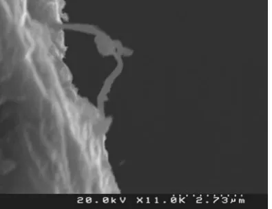 Fig. 6 Run B2; SEM micrograph                    Fig. 7 Run B3; SEM micrograph   