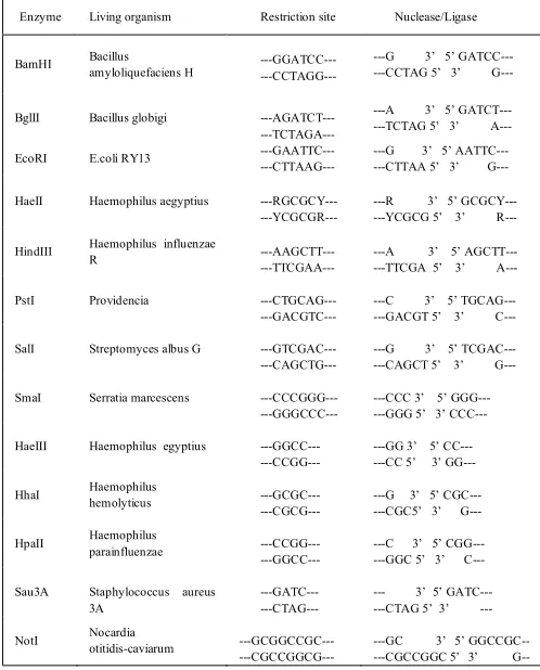 Table 1. Restriction sites of the most used enzymes.  