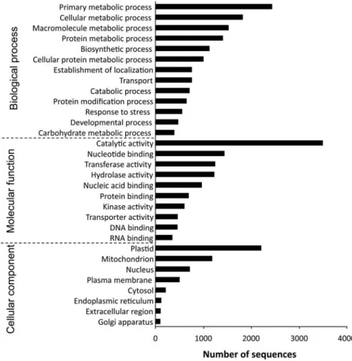 Figure 1. GO classification of assembled sequences. The results are summarized into three main subontologies: biological process, molecular function, and cellular component