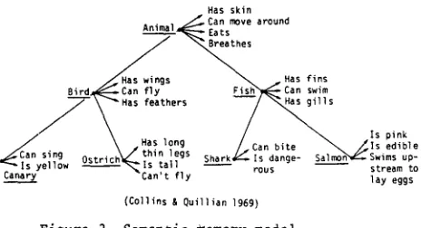 Figure 3. Semantic memory model 