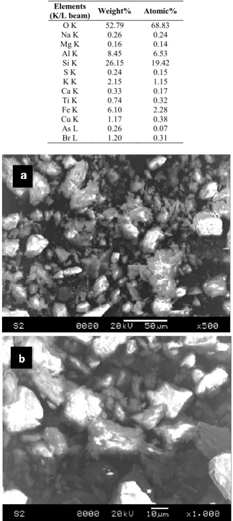 Table 3 SEM-EDX Elemental Analysis of Soil sample 