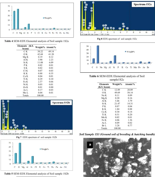 Table 4 SEM-EDX Elemental analysis of Soil sample 1S2a  