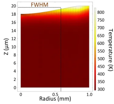 Fig. 12 