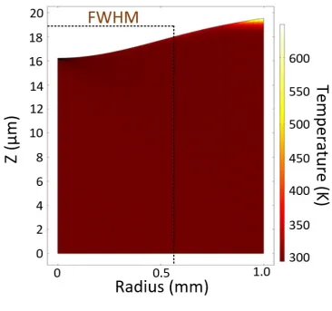 Fig. 13 