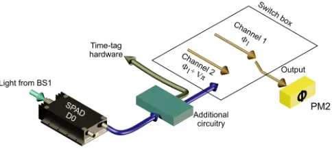 FIG. 5. Operation of the feedforward switch mechanism. Incom-