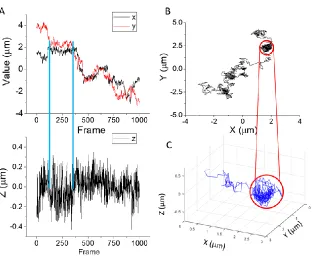 Figure 3.7 3D domain structure on supported lipid bilayer with 5% GM1. (A) The x, y and z positions of the particle over time