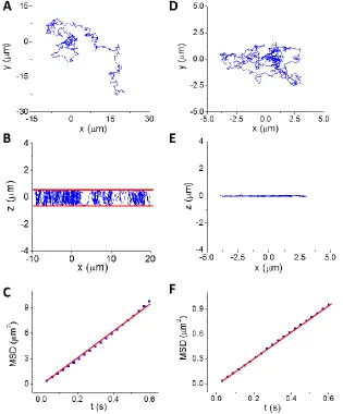 Figure 4.1. 100 nm polystyrene particle diffusing in a channel and on SLB membrane surface