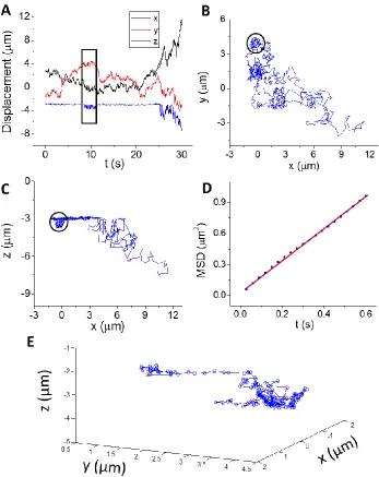 Figure 4.2. 100 nm particle diffusing on solid supported lipid bilayer at pH 7.4.  (A) The x, y and z positions of the particle over time