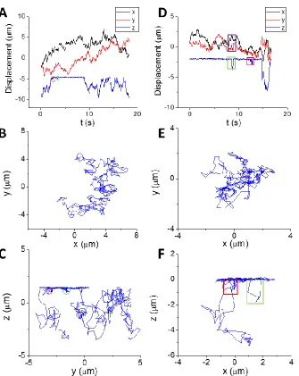 Figure 4.3. Two representative examples of particle adsorption/desorption on lipid bilayer  surface