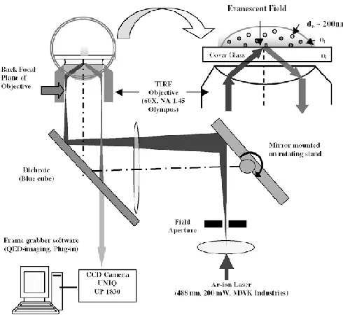 Figure 1.8. Schematic of 3D Total Internal Reflection Fluorescence Microscopy.  Reprinted with permission from ref 41