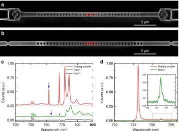 Fig. 3 Suspended rectangular diamond nanobeams with optical interfaces. Scanning electron micrographs of nanobeam photonic crystal cavities inmeasurements using a supercontinuum light source
