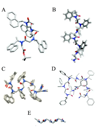 Figure 3.2 Known Peptoid Secondary Structures. (A) The  PPI helix (shown here as (S)-N-(1-napthylethyl)glycine) [11], [39], (B) the N-(phenyl)glycine PPII helix [12], (C), the peptoid ribbon [14] (D) the threaded loop [13], and  (E) the Σ-strand [15]