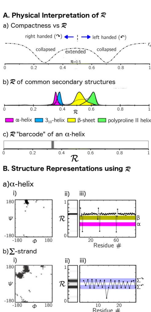 Figure 3.9. The Ramachandran Number.  The Ramachandran Number R is a parameter derived by Mannige et al
