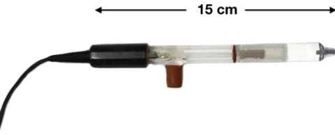 Fig. 1. A commercially available Ag/AgCl reference electrode.