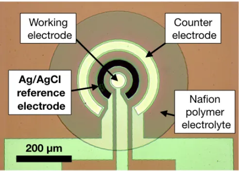 Fig. 2.Cross-section of an integrated reference electrode designed to beintegrated with a microfabricated Clark oxygen sensor.