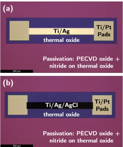 Fig. 6. Photographs of resistor test structure with an Ag resistive track before(a) and after (b) chlorination.