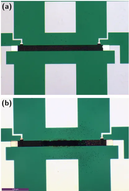 Fig. 9. Microscope images of a chlorinated bridge structure, (a) before and(b) after a current of 100 mA is forced.