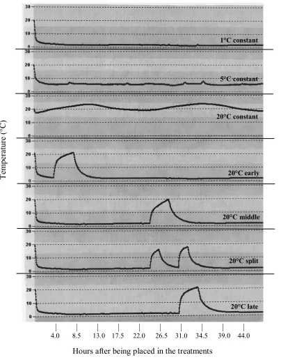 Figure 1.  Box temperature of ‘Freedom’ rose stems stored at various temperature regimes 
