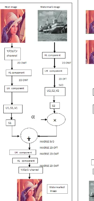 Fig. 2: Insertion of Watermark
