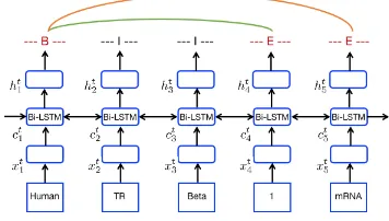 Figure 3: The architecture of entity boundary detectionmodule. We feed the representation of each token in thesentence into a bidirectional LSTM layer, the outputsof LSTM layer are utilized to predict boundary labels.