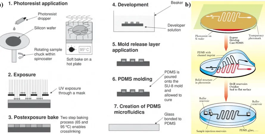Figure 1.7 Schematics of typical sequences of steps in microfluidic device fabrication11,51: (a) detailed process flow for creating PDMS microfluidics using SU-8 molds51, (b) a brief 3-D illustration of the process11, a transparency carries the desired des